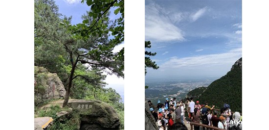 新利18bet 新利18bet