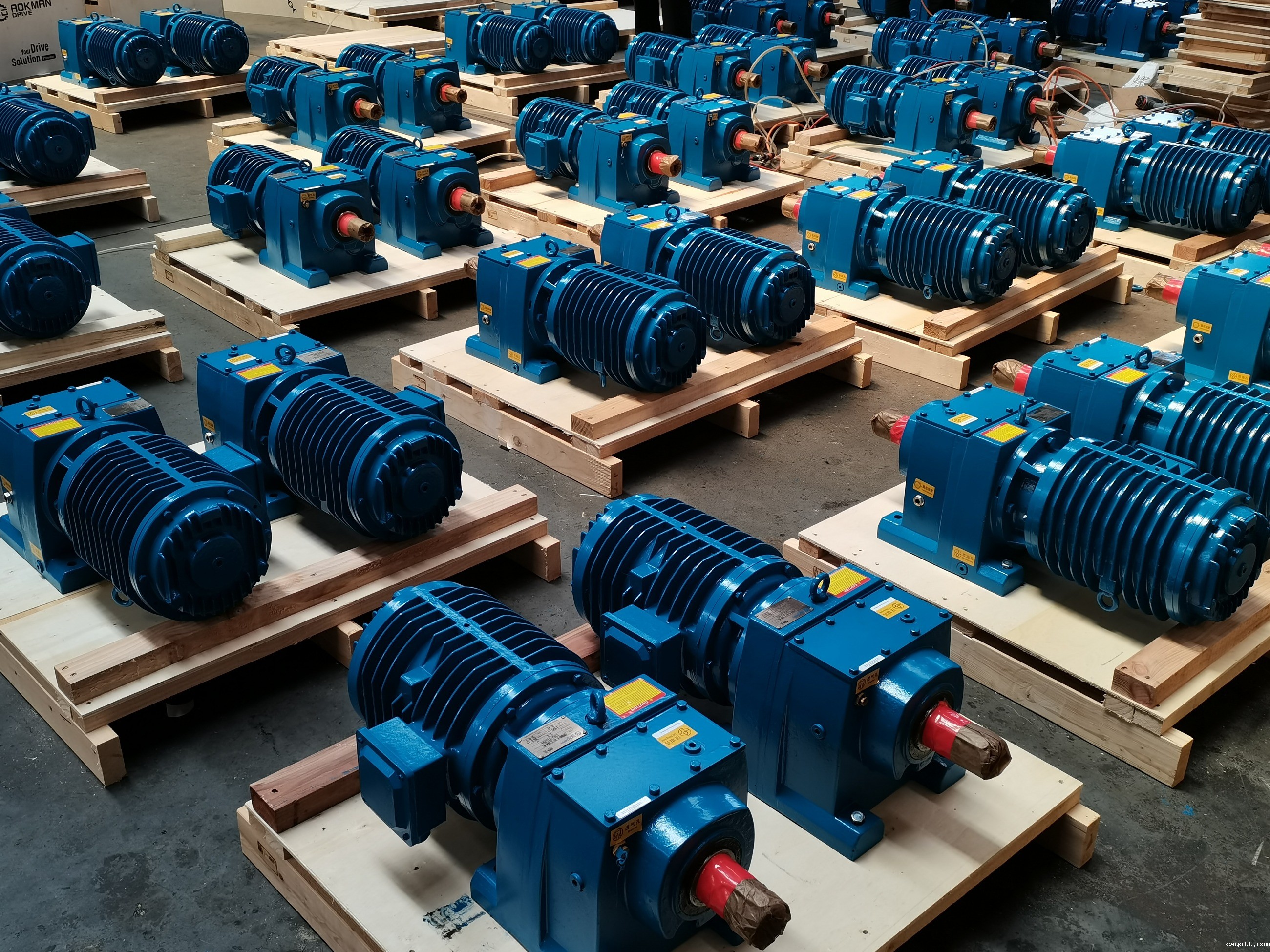 新利18bet 新利18bet